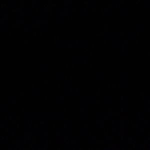 Meet your Posher, Genesis